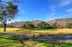 Gallery photo example